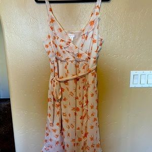 Motherhood Maternity Dress